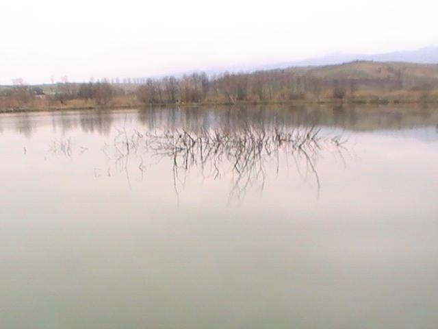 qrv - copy-of-pic0332.JPG